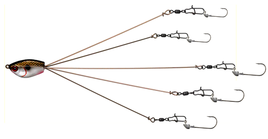 How To Set Up An Umbrella Rig