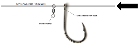 How to Make a Stinger Rig to Catch Mahi, Wahoo, Kings, and More - Pro ...