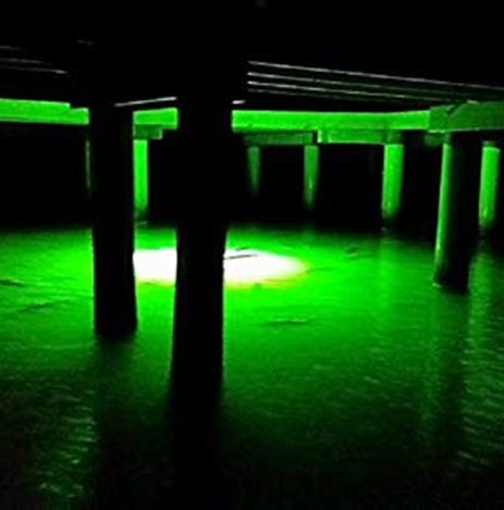 3 Types of LED Lights for Night Fishing