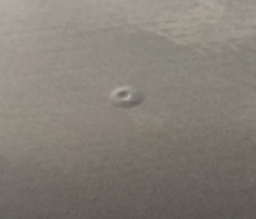 Ultimate Guide for Digging for Clams - Pro Fishing Rigs