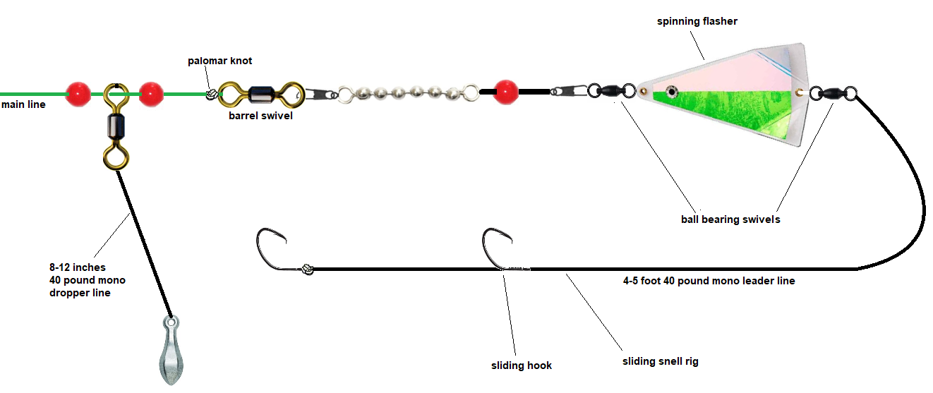 Trolling vs Bottom Fishing: What's the Difference?